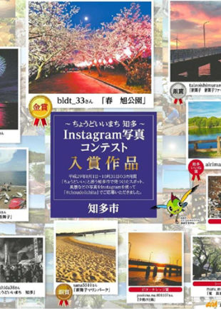 ＷＥＢを組み合わせた立体展開