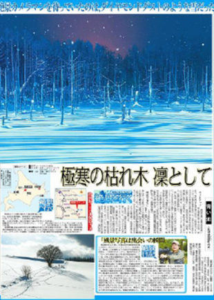北海道観光振興機構の入札案件を獲得！