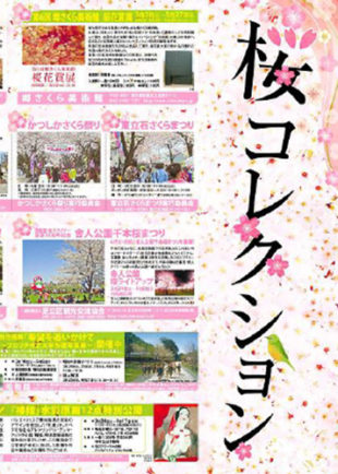 首都圏の観光名所を紹介！　「桜企画」
