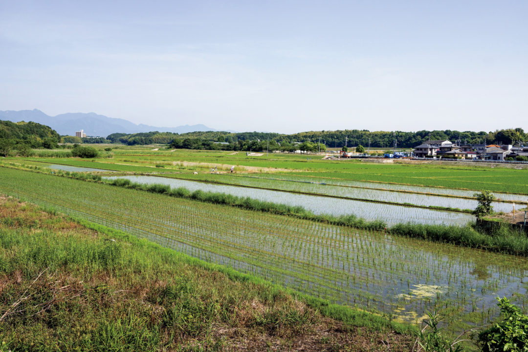 奈良時代に思いを寄せる